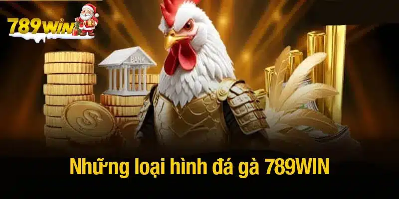 Những loại hình đá gà 789WIN được yêu thích nhất