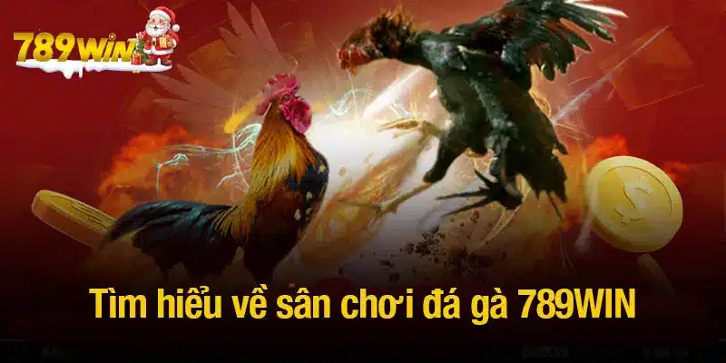 Tìm hiểu về sân chơi đá gà 789WIN đình đám