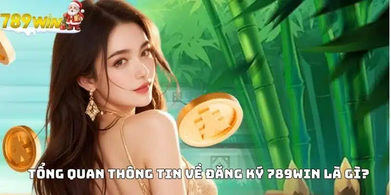 Tổng quan thông tin về Đăng ký 789WIN là gì?